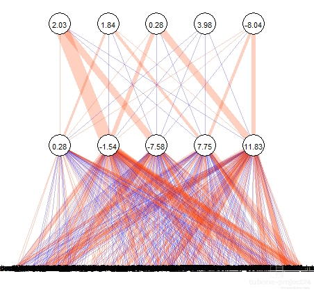nnetパッケージで学習したニューラルネットのノードと重みの可視化図
